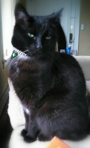 IMG_20141001_131109_091~2~2