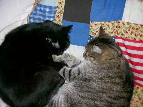 IMG_525880860661153~2